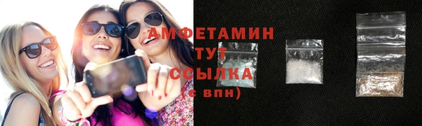 прущие грибы Волосово