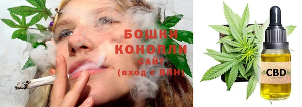 прущие грибы Волосово