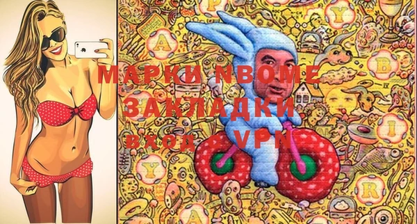 прущий лед Вяземский