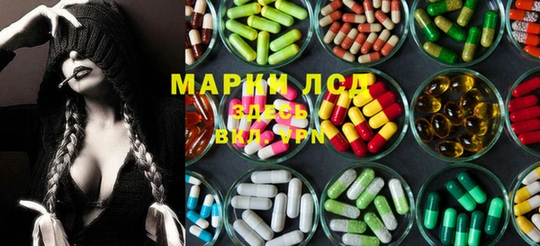 прущие грибы Волосово