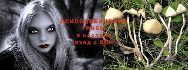 Альфа ПВП Володарск