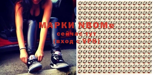 прущий лед Вяземский