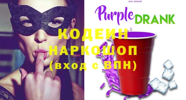 прущий лед Вяземский