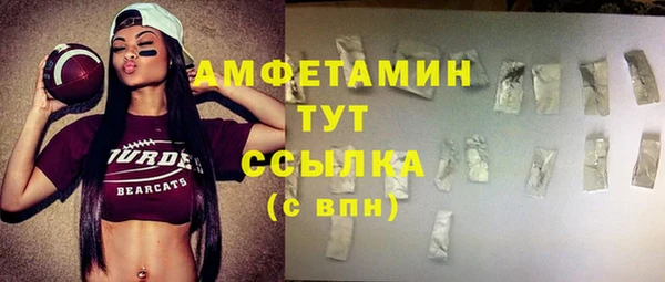 прущий лед Вяземский