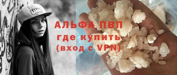 гашик Вязьма